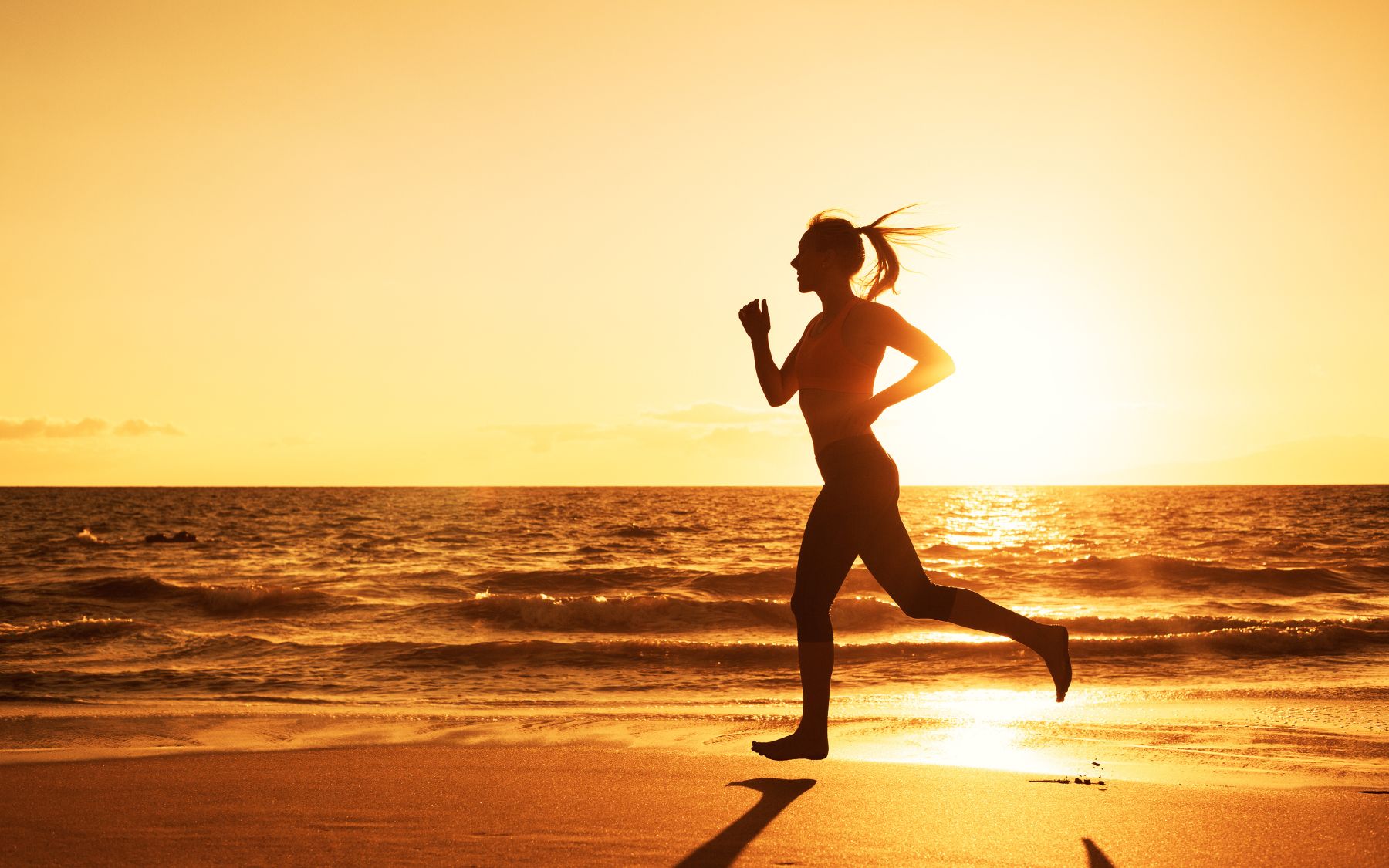 The Psychology of Motivation: What Drives Us to Succeed? 